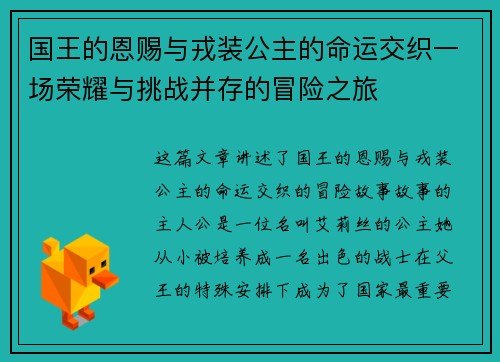 国王的恩赐与戎装公主的命运交织一场荣耀与挑战并存的冒险之旅